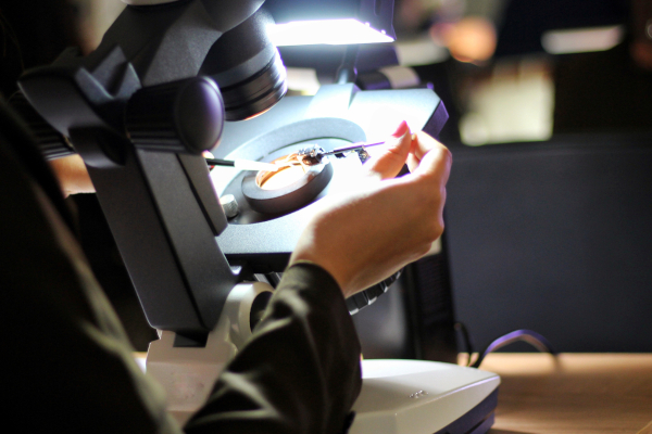 How tiny gold tubes could help tackle asbestos related cancers